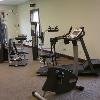 Exercise/Rehabilitation suite